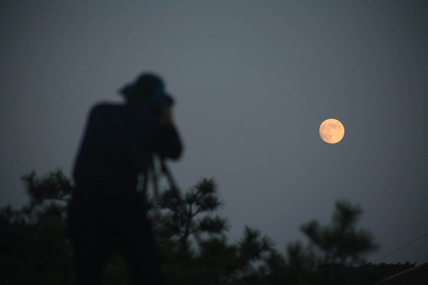 shutterstock 1238920534 hbfpjbqgefb5gmlsgwrpjw s80Li2b9bNLuU Superkuun kuvaaja.